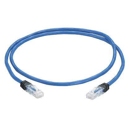Product image for ZnCrd,Cat6,UTP,S,PLEM,P-P,BU,75ft,EA