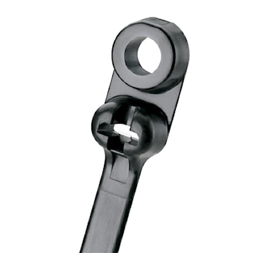 pccbc2s-s10-d0