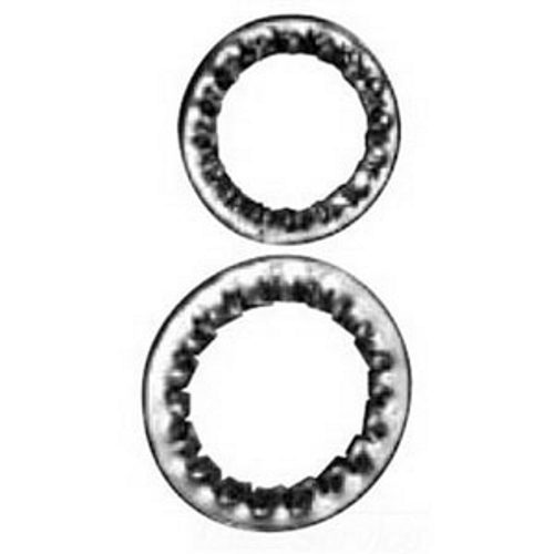 Product image for SS SERRATED WASHER 150NPT