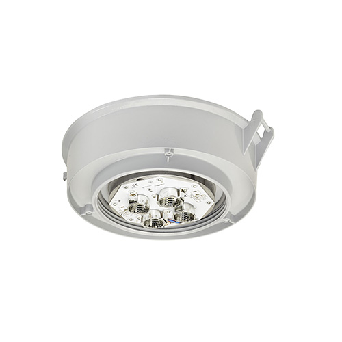 Product image for MLED LP 2K LM 1.5" J5 25 DEG STAN