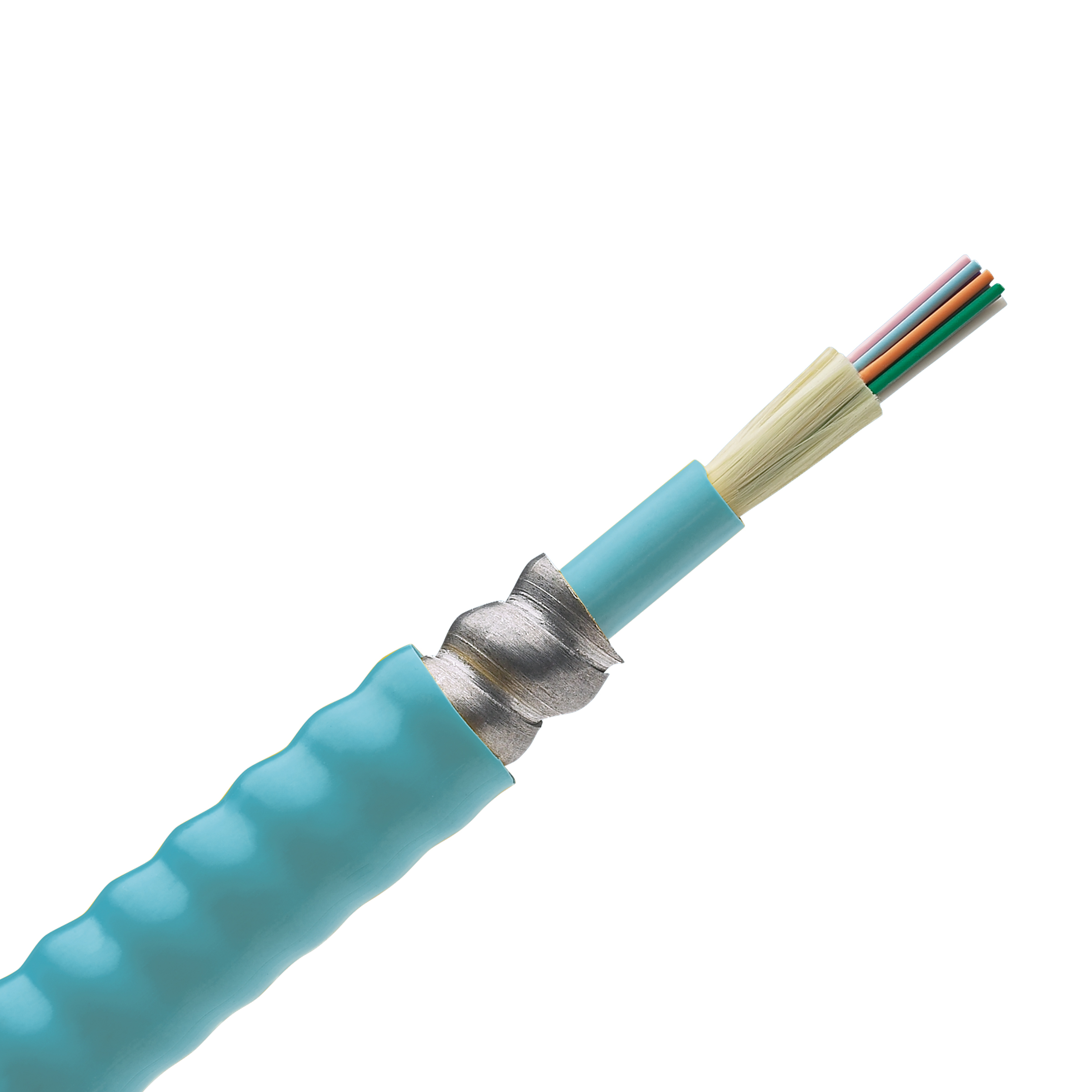 Product image for 12 Fiber Cable, OM3, Indoor Armored TB, Riser, 900um Buffered
