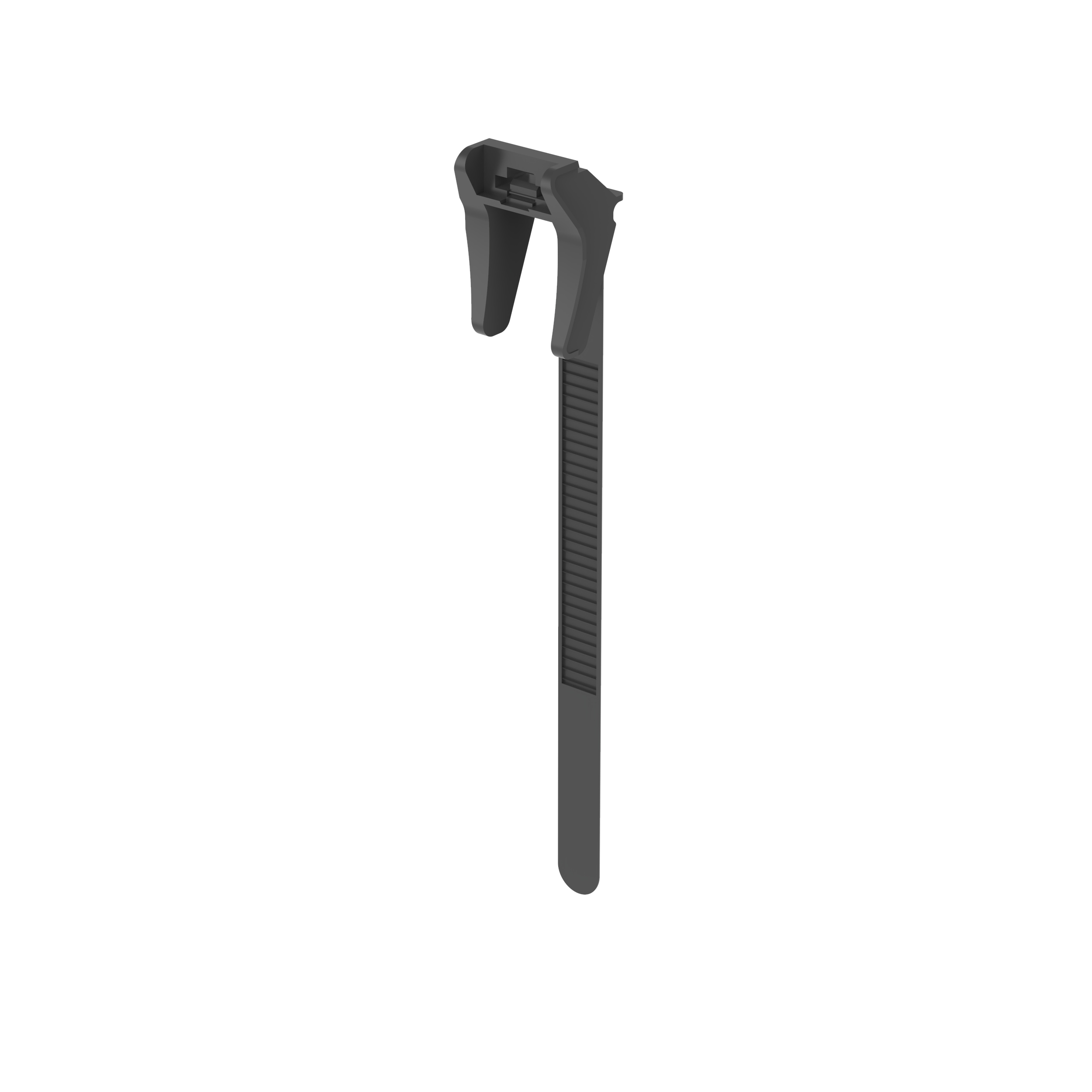 Image thumbnail 2
