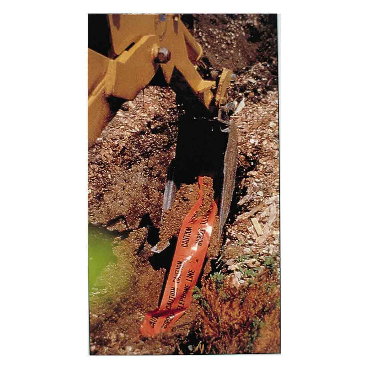 Image thumbnail 1