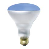 Product image for 75BR30/B/FL/5M/130V/STD