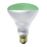 Product image for 75BR30/G/FL/5M/130V/STD