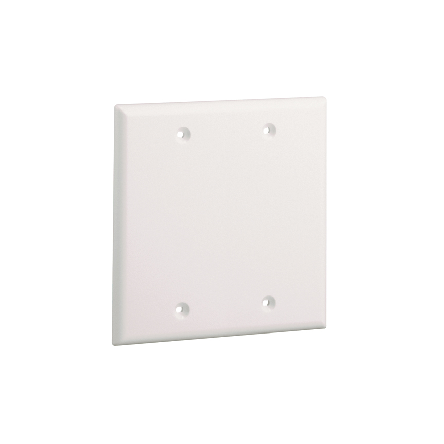 Product image for FACEPLATE,SCREW-ON,BLANK,IW,2-GANG,EA