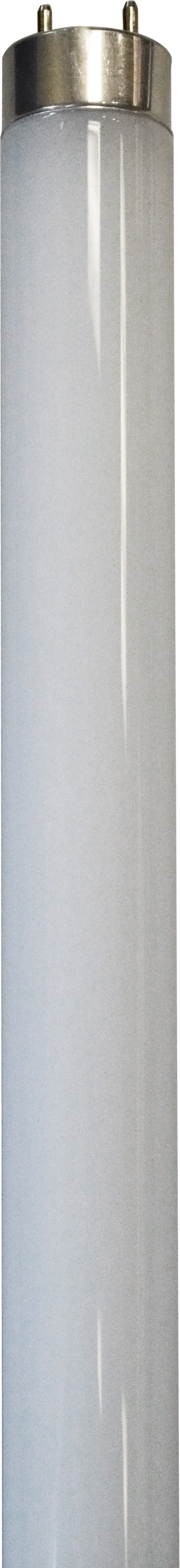 Product image for GLASS DIRECT FIT T8 4FT 15W-2200LM 5000K 80CRI