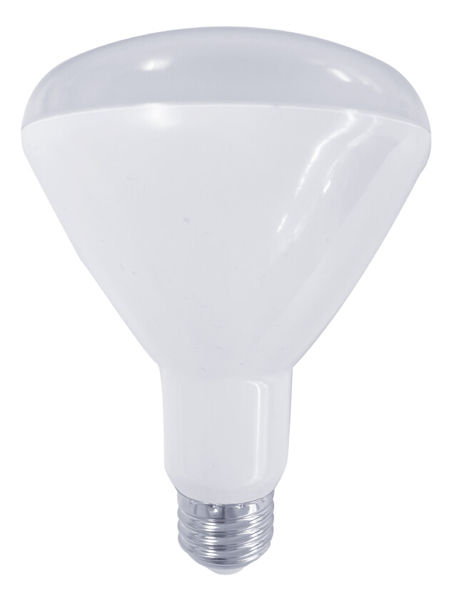 Product image for LITESPANLED BR30 REFLECTOR FLOOD 8W-650L