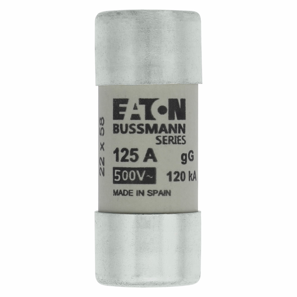 Product image for CYLINDRICAL FUSE 22 X 58 125A GG 500V AC