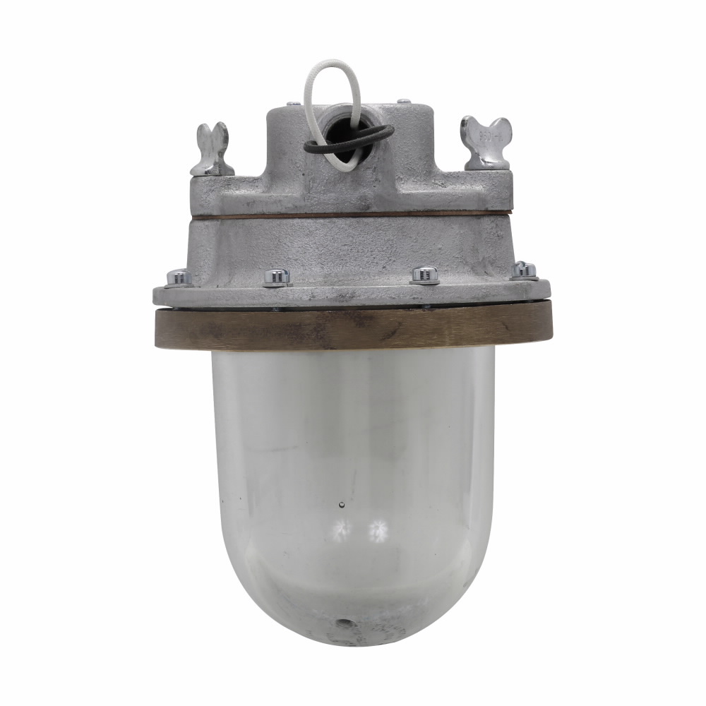 Product image for EXPF INCAN LUMIN FS 100-500W MED & MOGUL