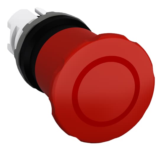 Image thumbnail 4