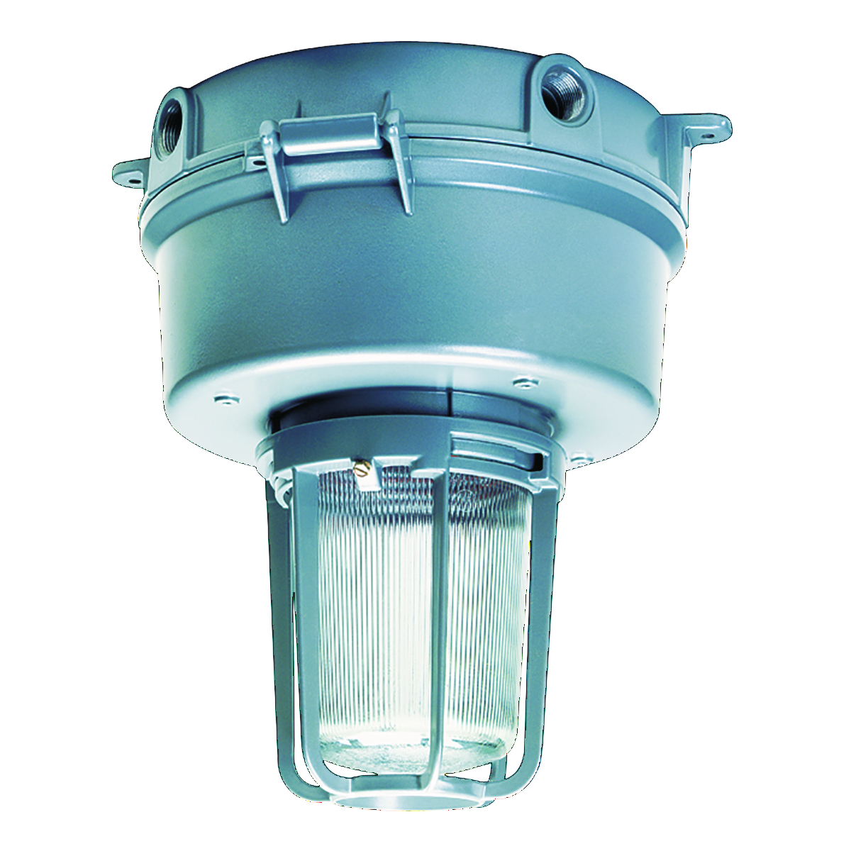 Product image for PEND MNT COVER SVR LOC 3/4IN IP THRD