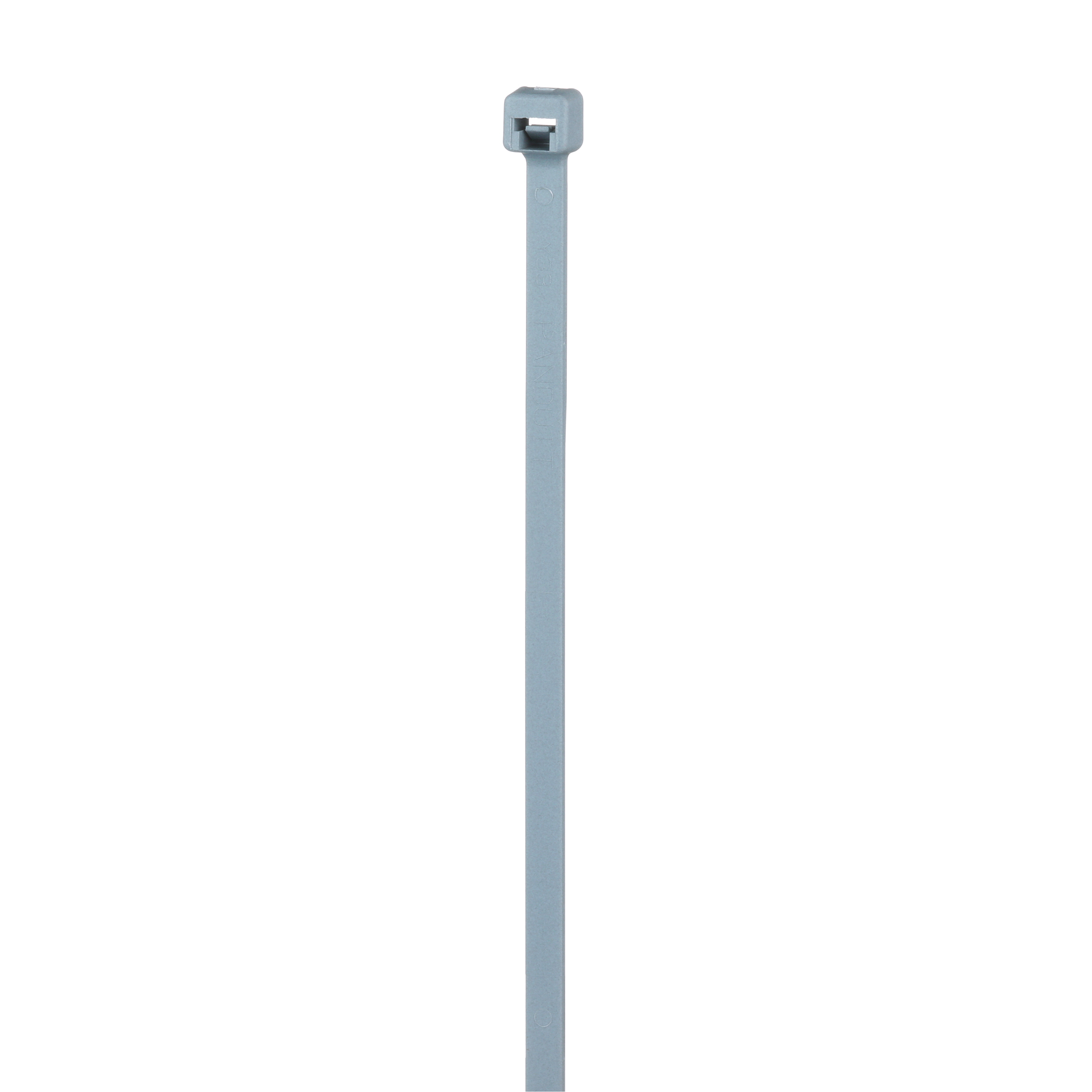 Image thumbnail 2