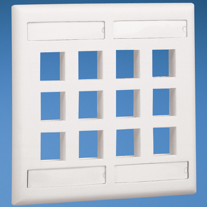 Product image for NK,12-port,SglGang,VertFPw/Lbls,IW,EA