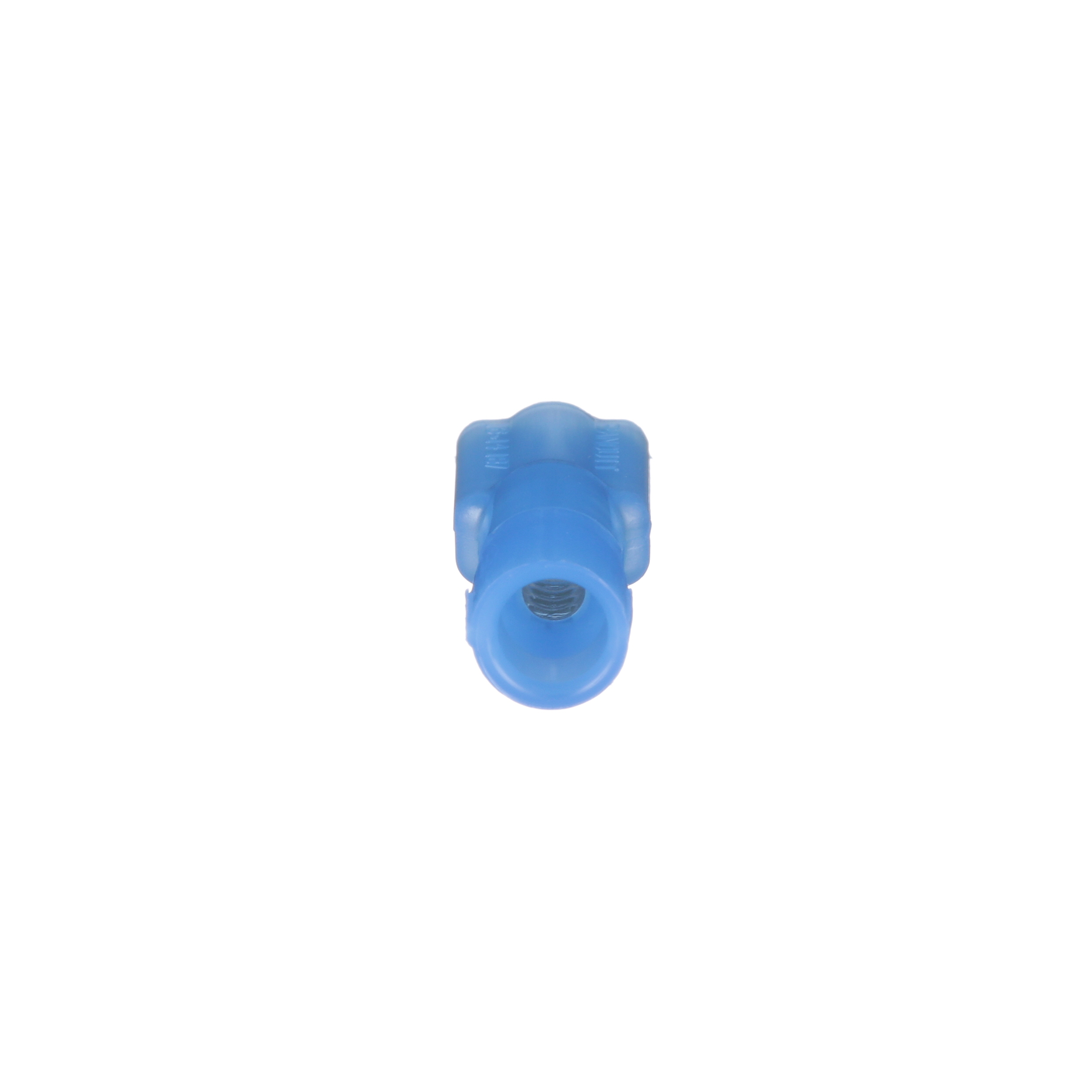 Image thumbnail 1