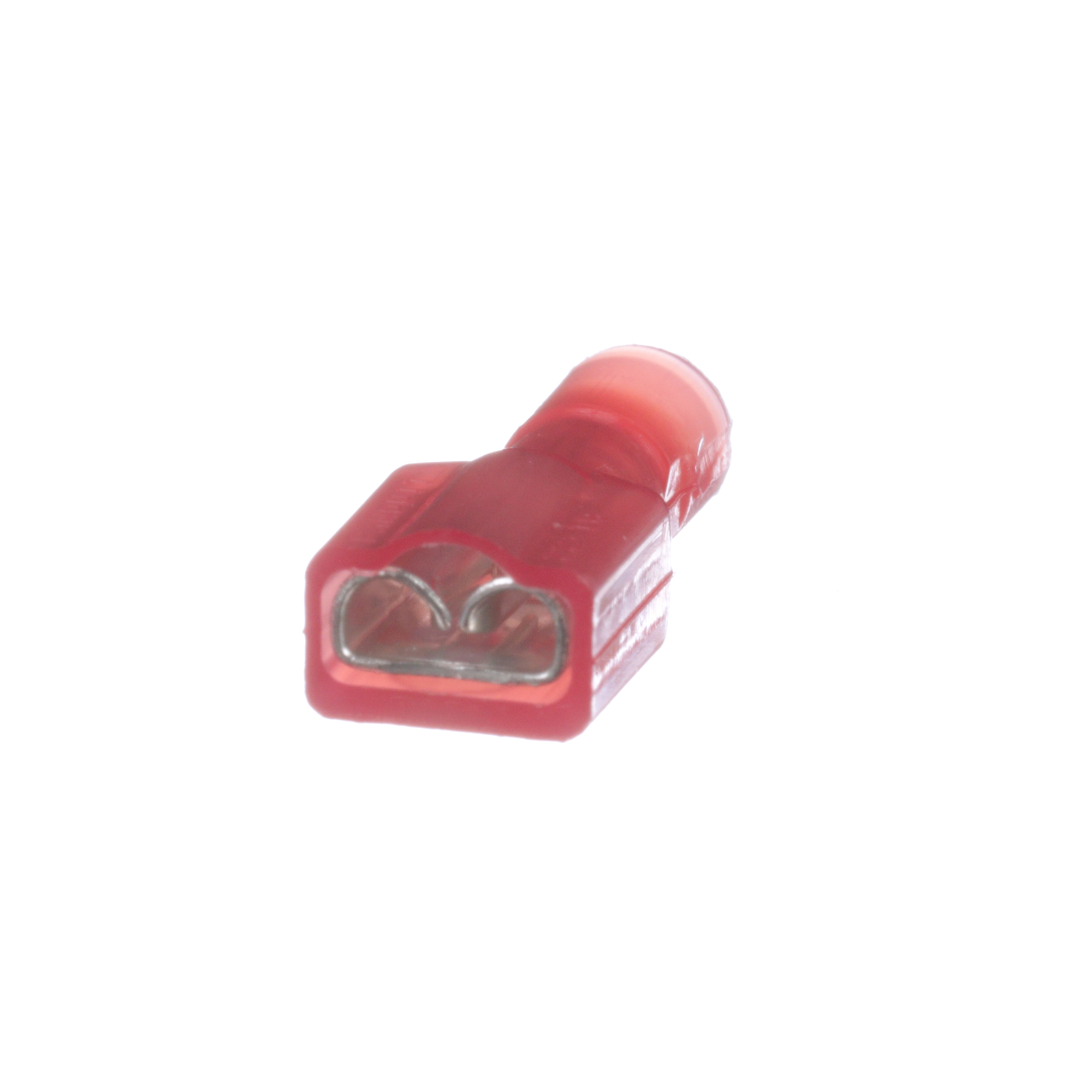 Image thumbnail 1