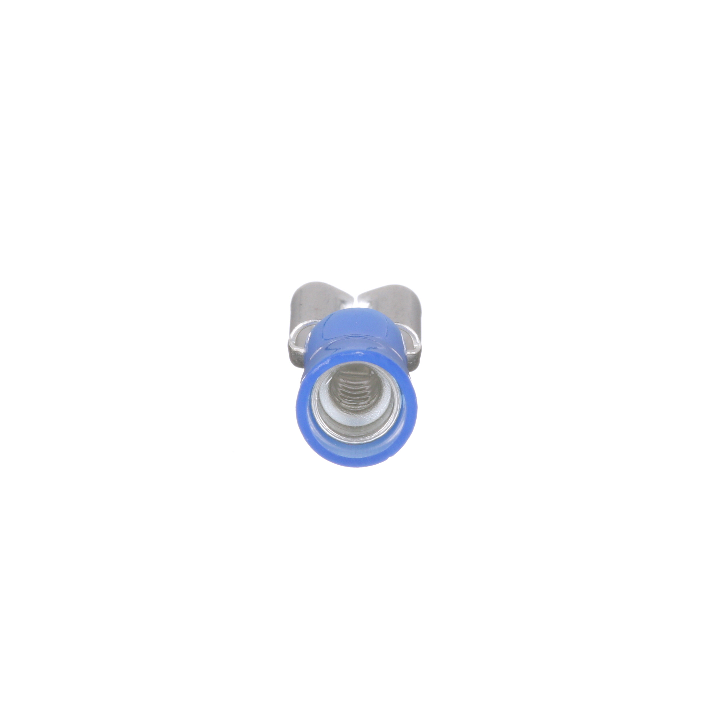 Image thumbnail 1