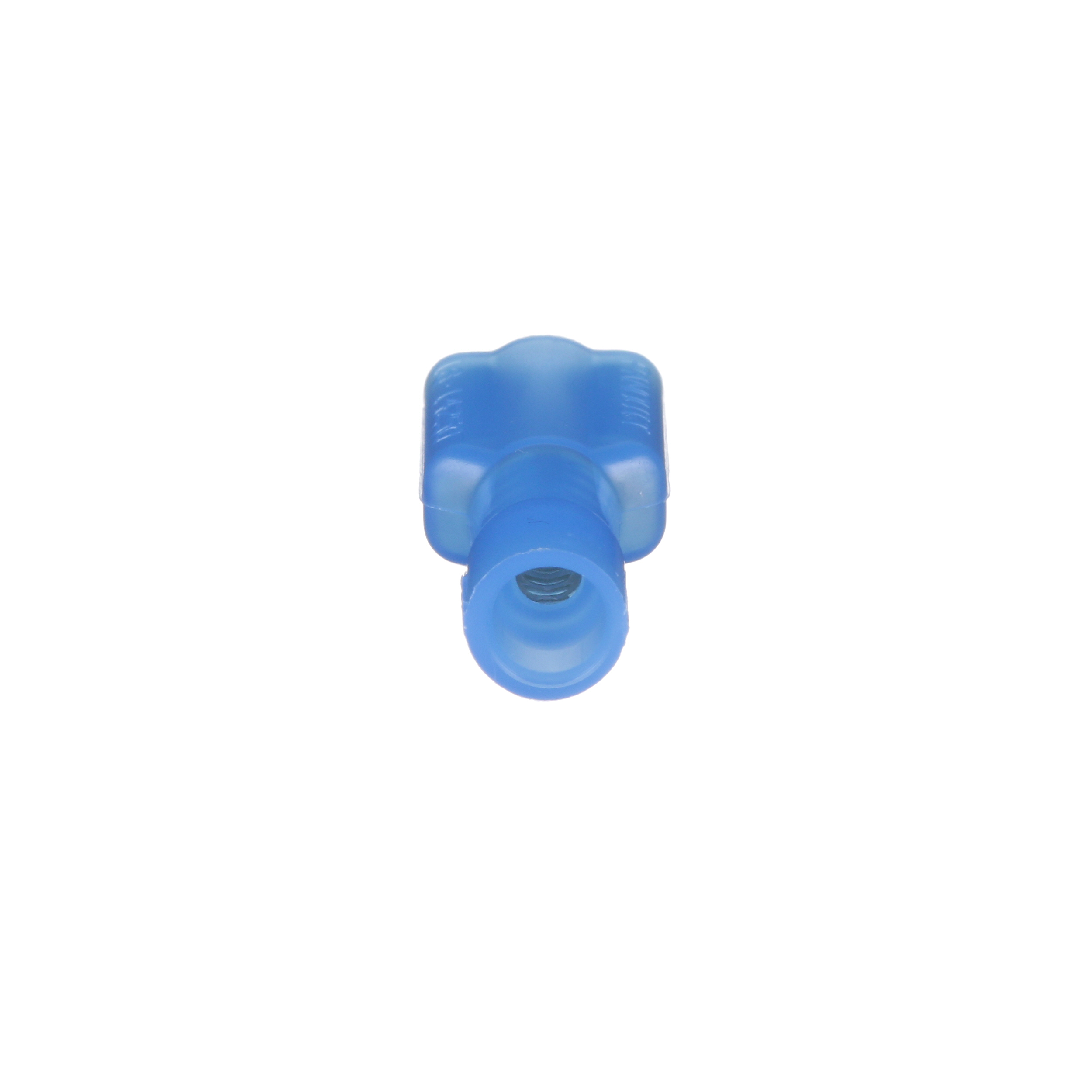 Image thumbnail 1