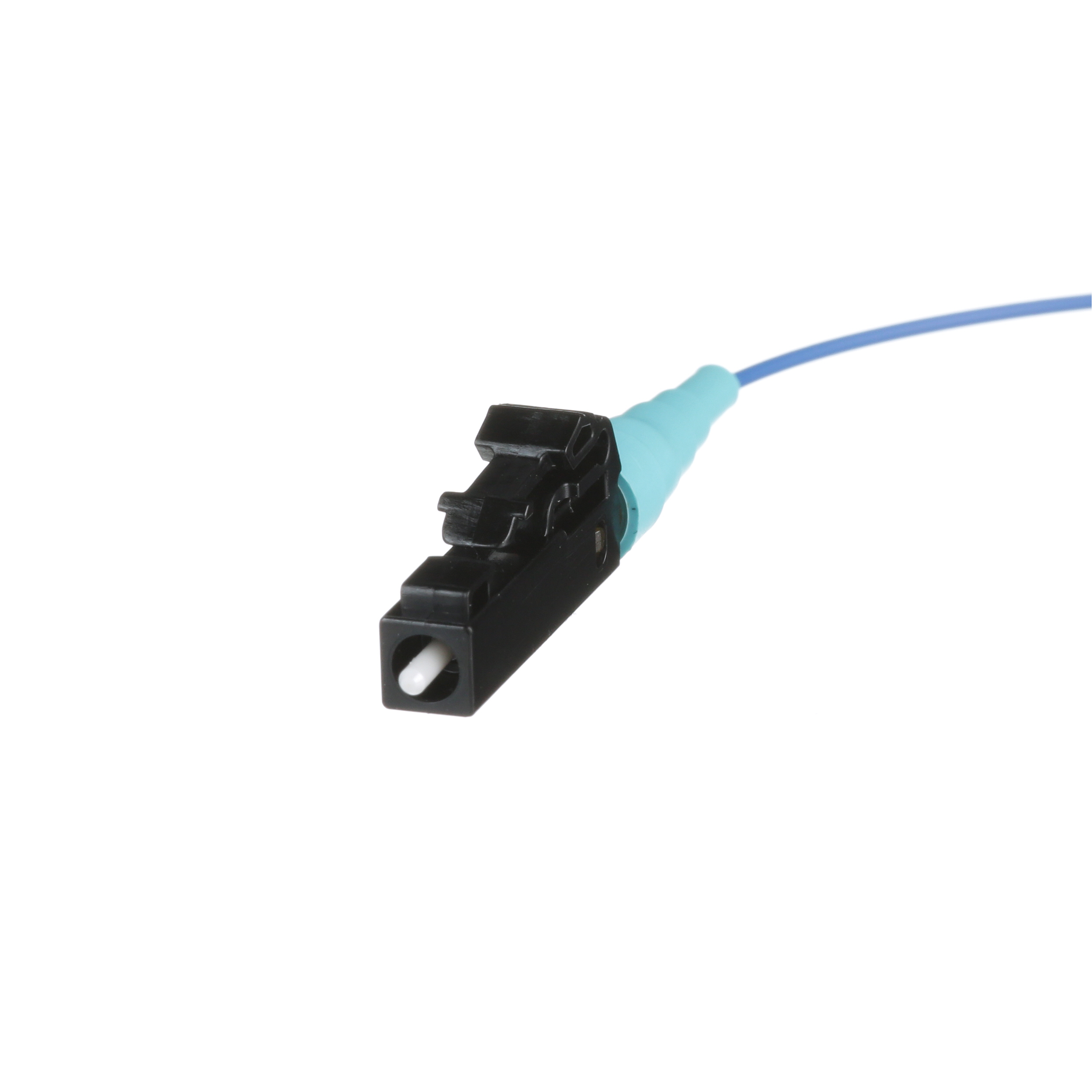 Image thumbnail 1