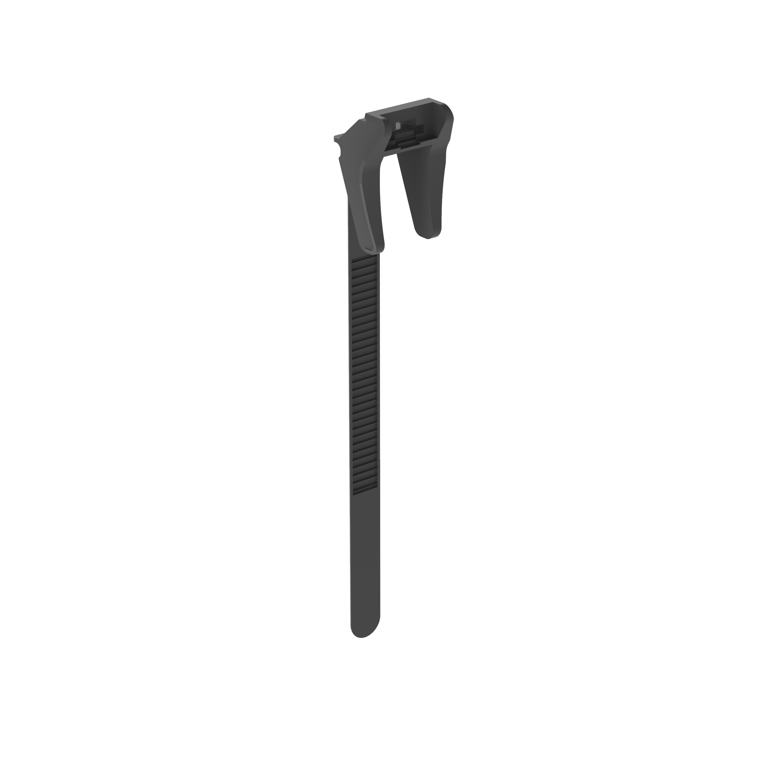Image thumbnail 1