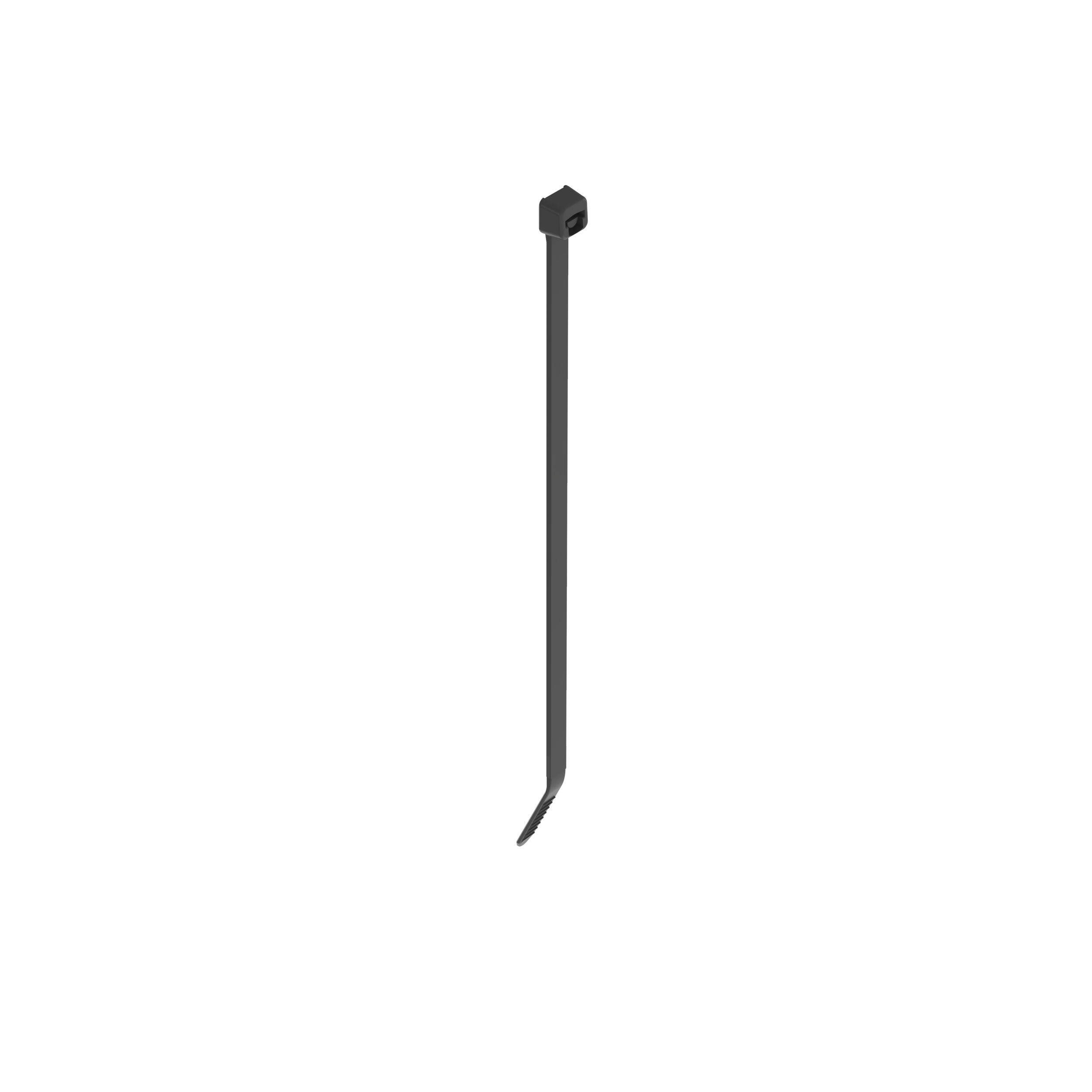 Image thumbnail 1