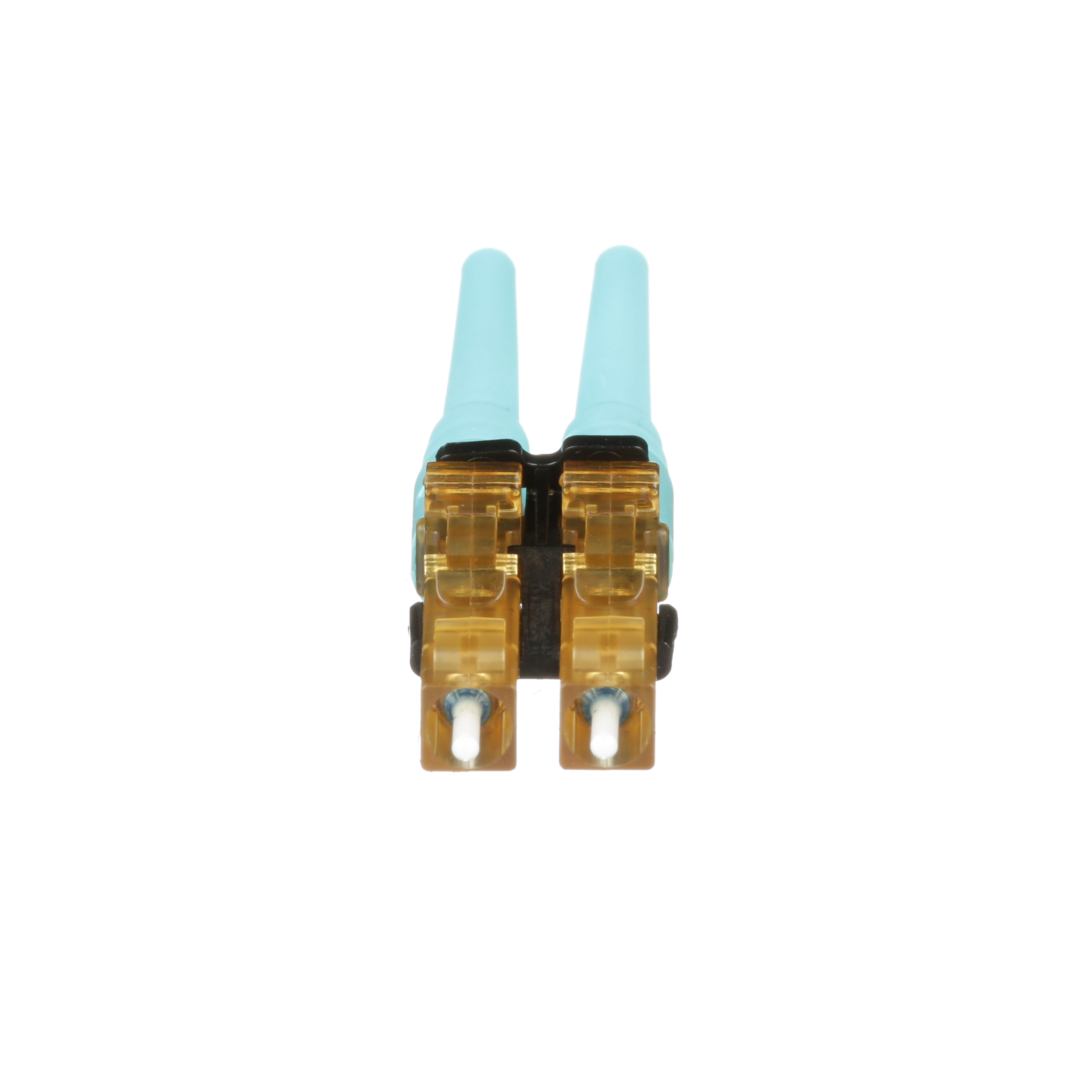 Image thumbnail 1