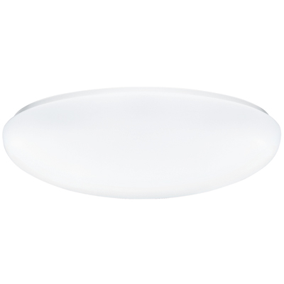Product image for FLUSH MOUNT