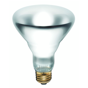 Product image for Lamp INC BR30 65W E26 130V 620 lumens clear