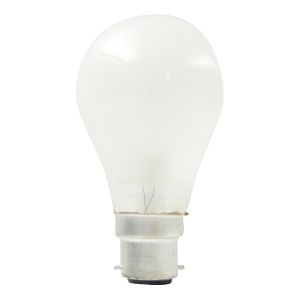 Product image for INCANDESCENT HIGH VOLTAGE 100W A19 B22 230V FROST