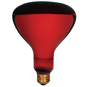 Product image for INCANDESCENT SAFETY MAX INFRARED 250W R40 E26 120V RED STD