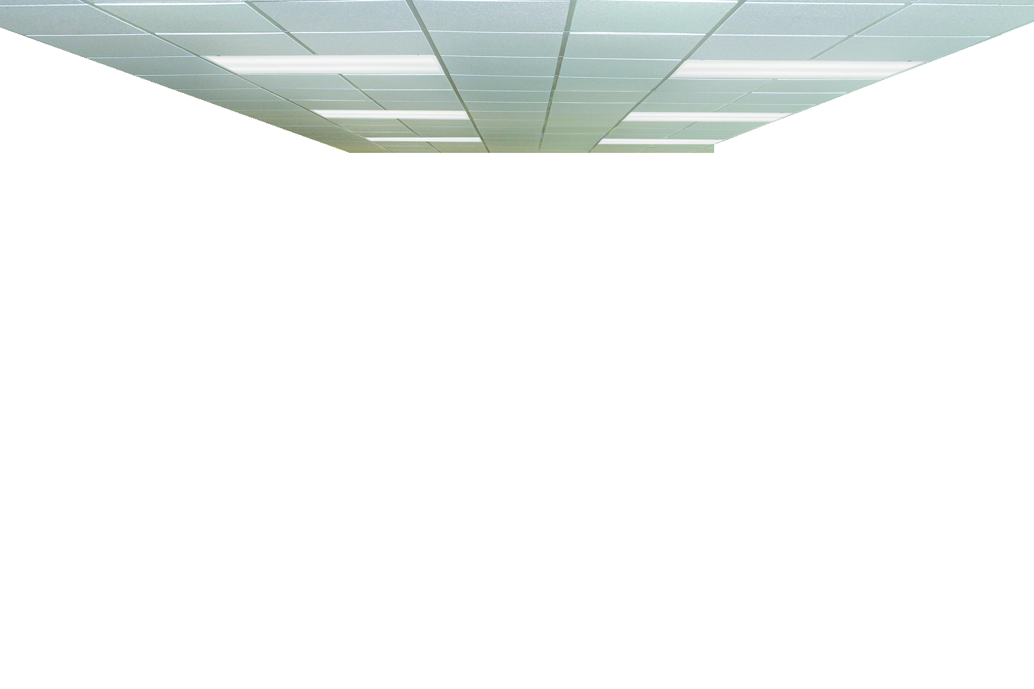 Image thumbnail 7