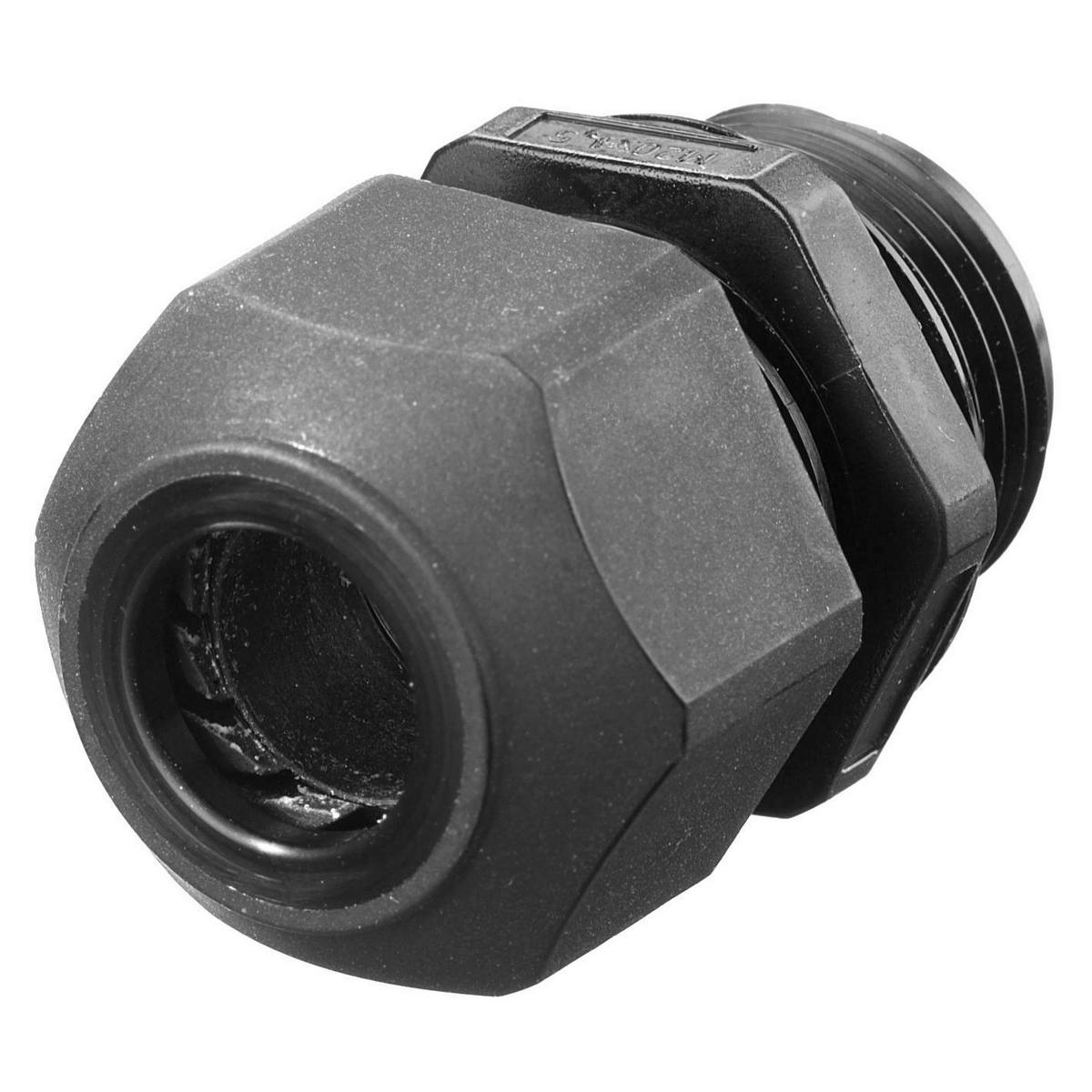 Image thumbnail 1