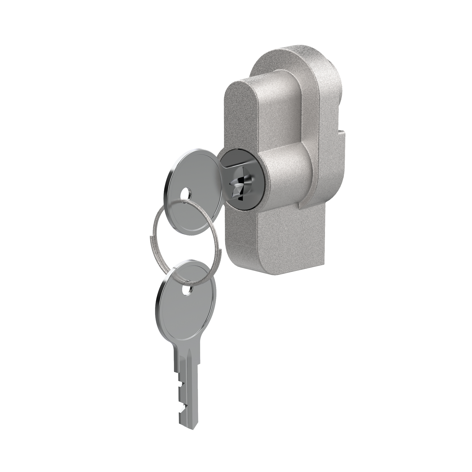 Product image for Keylock kit for latch SS