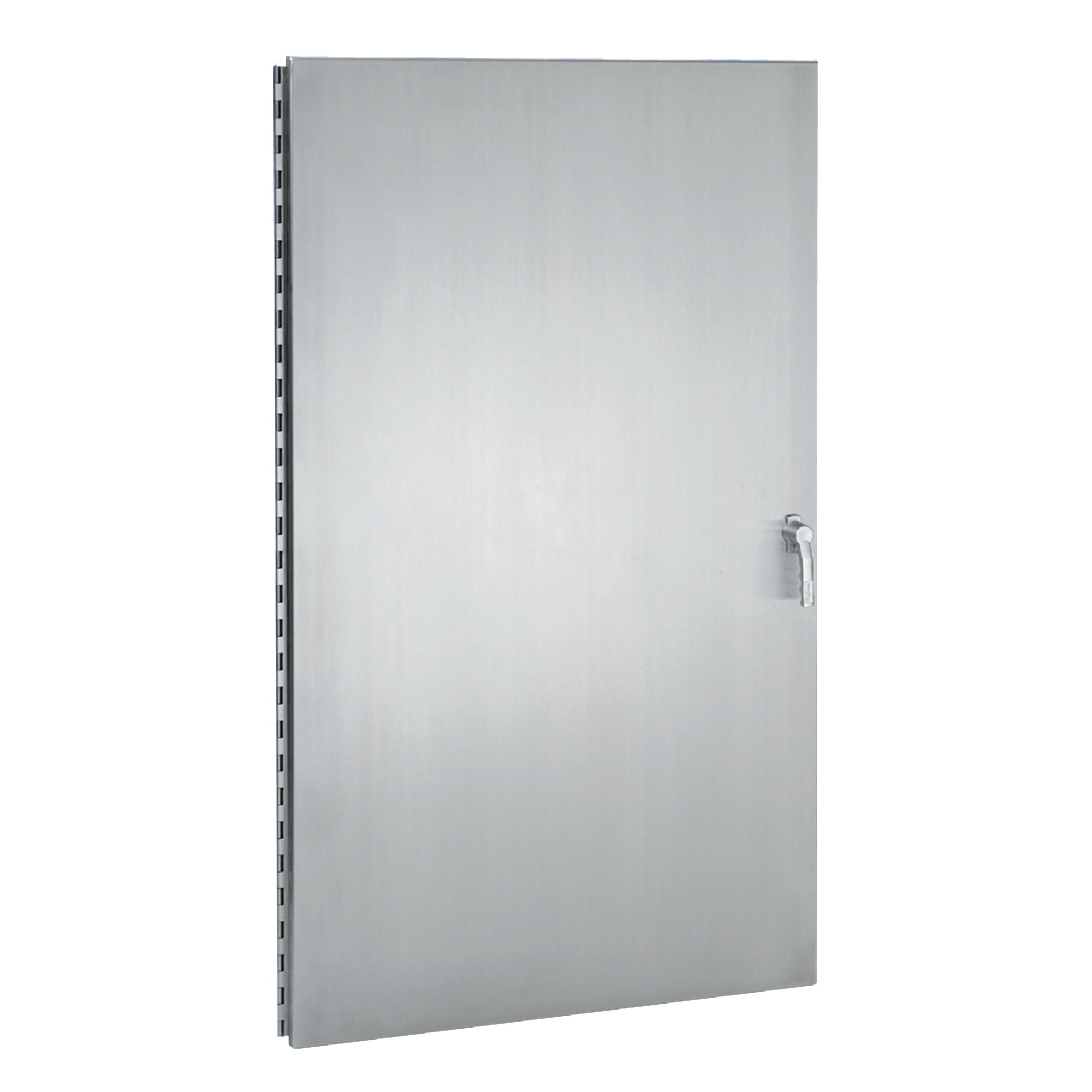 Product image for 304SS DOOR WITH 316SS HANDLE