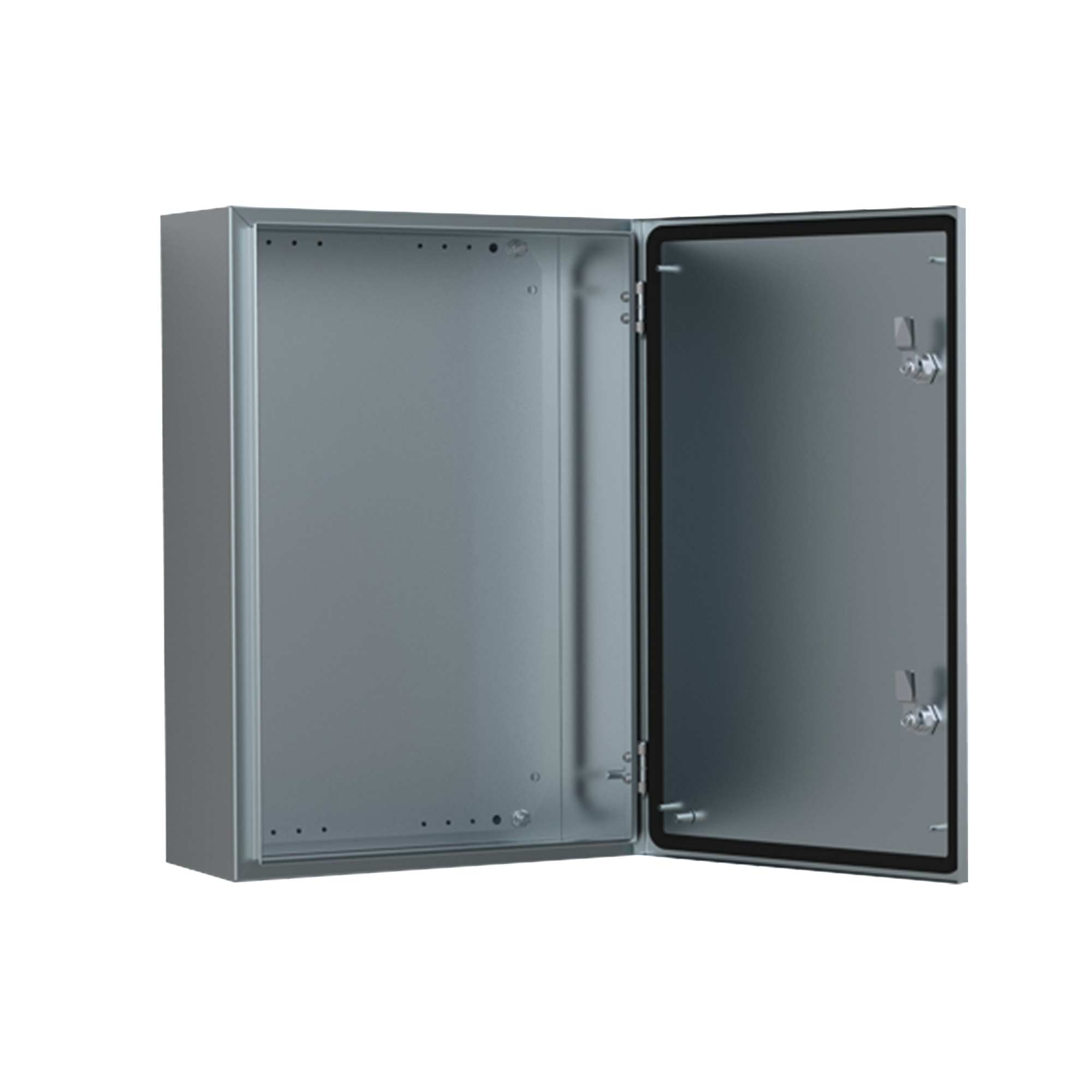 Product image for WALL-MT IP66 1DR SS ENC W PNL
