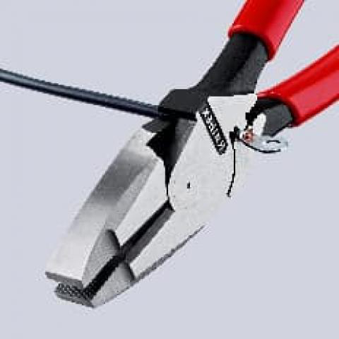 Image thumbnail 3