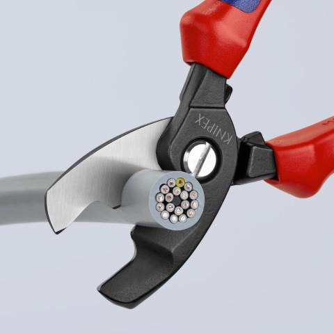 Image thumbnail 3