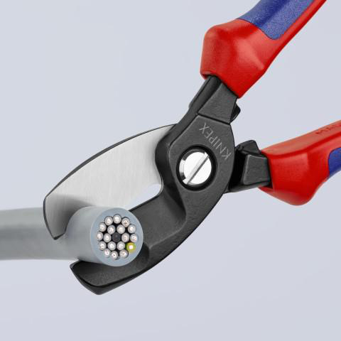 Image thumbnail 4