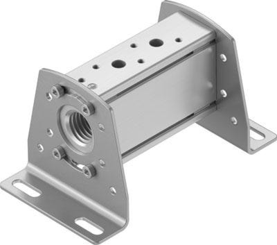 fesvabm-b10-25-n12-2-p53