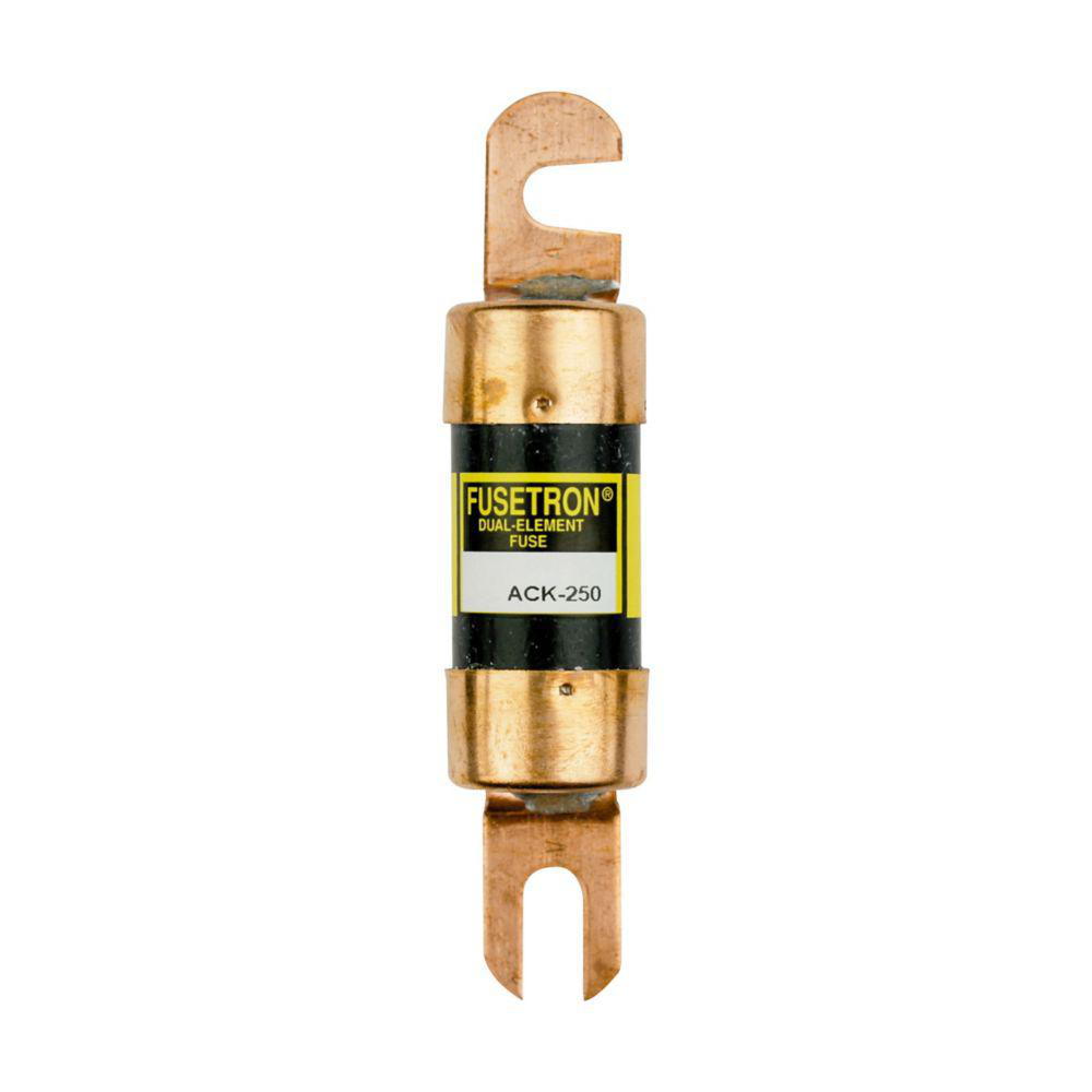 Product image for FUSETRON DUAL ELEMENT