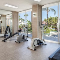 litfml4w48alo6sef835mv