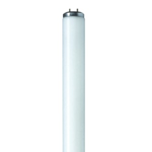 staf40t12cwessc