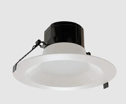 rnor39206