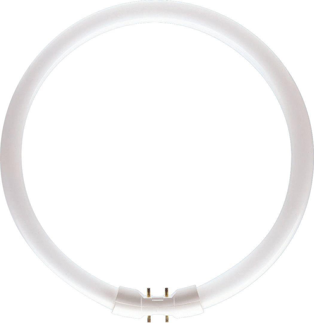 Product image for Lamp fluorescent T5 22W/82 2GX13 4100K