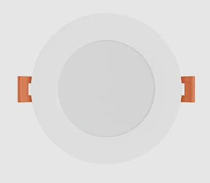 rnor36008