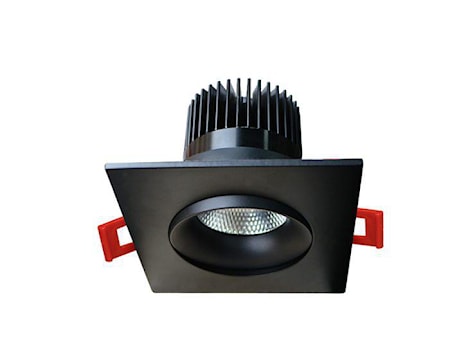 rnor36126