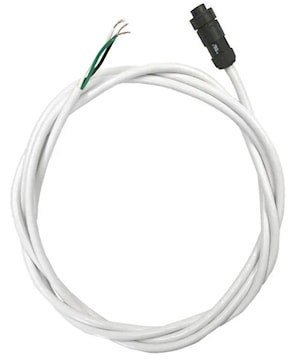 rnor39311