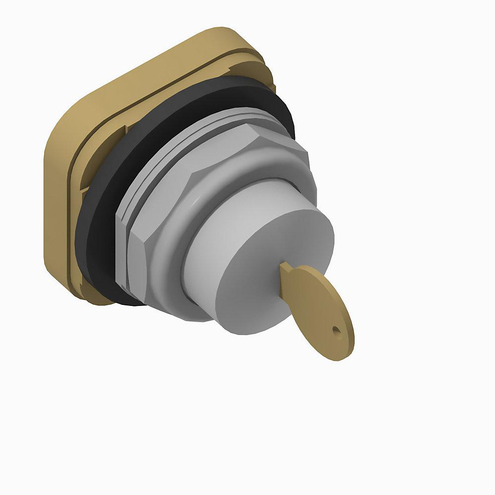 Product image for Pushbutton cylinder lock-OUT dead bolt B standard head E131-key