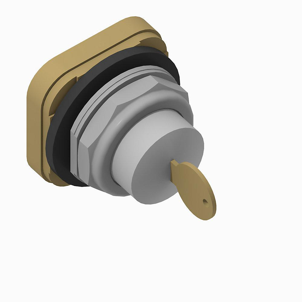 Product image for Pushbutton cylinder lock-OUT dead bolt B standard head E100-key