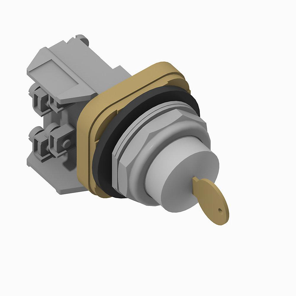 Product image for Pushbutton cylinder lock-IN 1NO-1NC spring bolt standard head E132-key